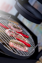 BBQ with red meat on the grill