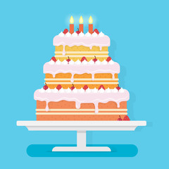 Happy Birthday cake with candles.