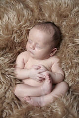 newborn baby