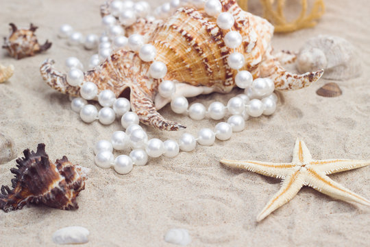 shell with pearls on a sandy beach