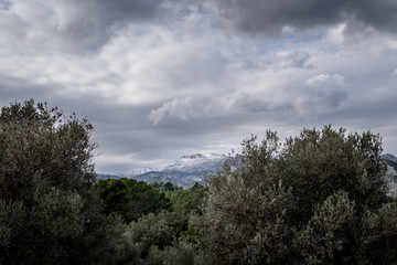 Obraz premium Massanella im Schnee