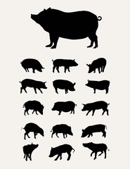 Pigs Silhouettes Set, art vector design
