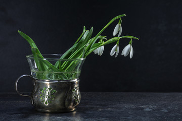 snowdrop flowers in an vintage vase of silver and glass against