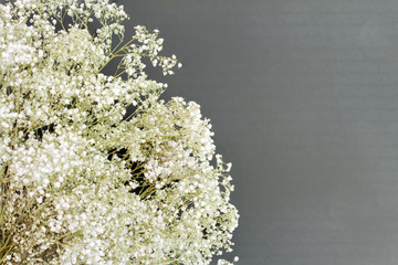 Flowers on a black board