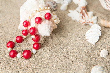 seashells and  necklace on sand at the beach
