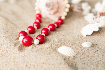 seashells and  necklace on sand at the beach