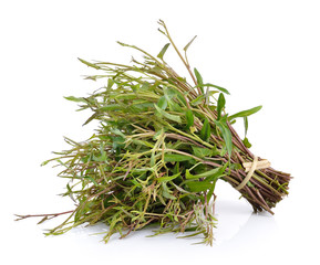 morning glory vegetable