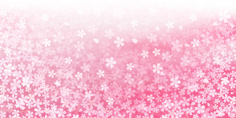 桜　春　花　背景
