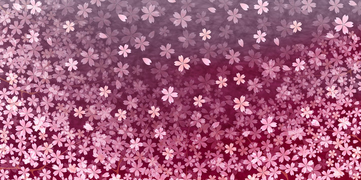 桜　春　花　背景
