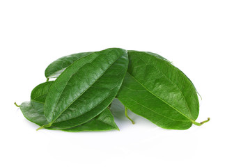 green leaves Ya-Nang on white background