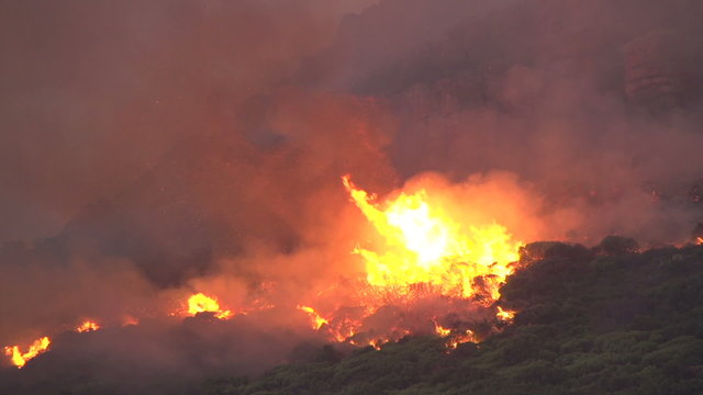 Cape Town-March,2015: Fierce bush fires endanger property on the slopes of Table Mountain,South Africa