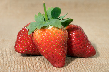 Strawberries / Closeup of red strawberries
