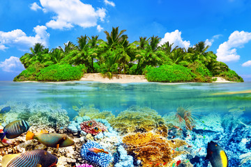 Obrazy na Plexi  Tropikalna wyspa i podwodny świat na Malediwach. Thoddo