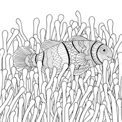 Clown fish in sea anemones with high details.