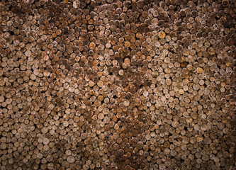 decorative cross section view  cutting wood