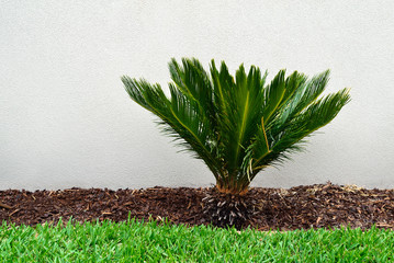 Modern garden design combination