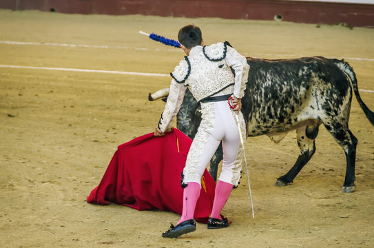 Bullfighter in white costume giving a pass to the bull