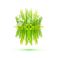 Modern two-sided label with green grass