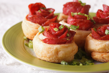 Beautiful food: roll with salami and cheese close-up. horizontal

