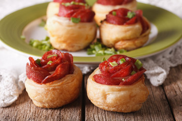 Obraz na płótnie Canvas Mini pizza with salami and cheese close-up. Horizontal 
