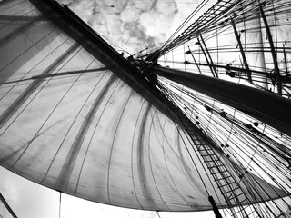 Schwarz und Weiß der vollen Segelzeichnung © flyingwalrus