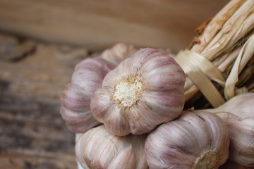Garlic