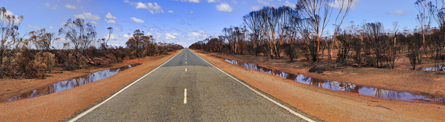 WA bushfirew road vert panorama