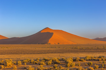 Fototapeta na wymiar High sand dune