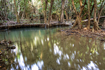 Obraz premium tropical waterfall in deep forest of Kanchanaburi province, Thailand.