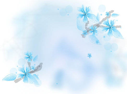 Fototapeta Background with light blue blooms