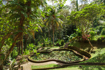 Pond with lotuses in Goagajah Temple (Elephant Cave Temple). Ubud, Bali, Indonesia.