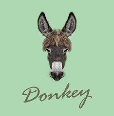 Farm Donkey portrait