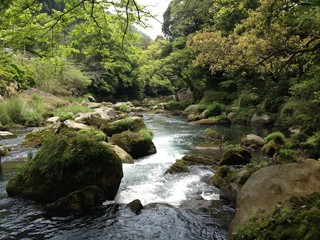 新緑の天降川／鹿児島県霧島市