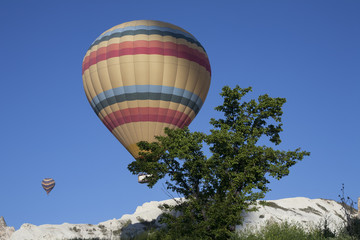 Obraz premium Balloons on the rise and the tree. Cappadocia. Turkey.