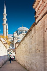 Suleymaniye Mosque (Suleymaniye Camii), Istanbul