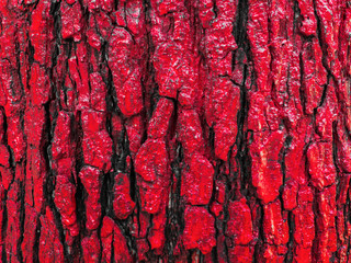 Red Wooden background textured.