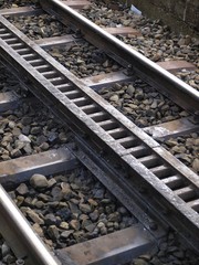 Naklejka premium rigi railways/Switzerland