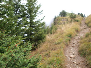 Nature of Mt.Rigi/Switzerland