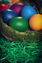 Easter eggs in nest