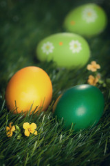 Colorful Easter eggs on grass