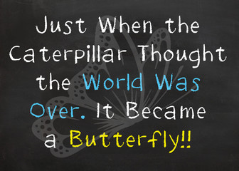Caterpillar transforms into a Butterfly