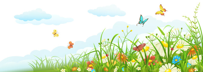 Summer meadow banner with green grass, flowers, butterflies and clouds