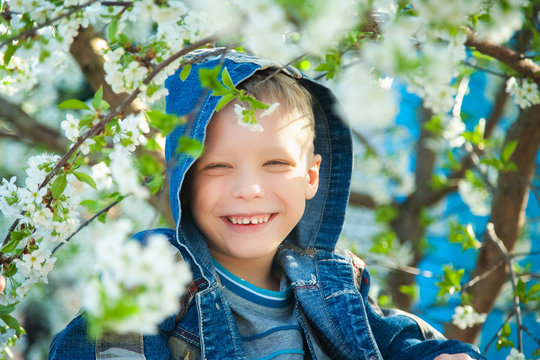 Close Up Of Smiling Beautiful Child Face. 7 Years Old Kid Playing Hide And Seek. Boy Dressed In Casual Jeans Clothes Sitting Among Branches Of Spring Tree In Blossoms. Portrait Of Beautiful Little Kid