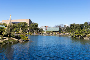 Fototapeta premium 清澄庭園