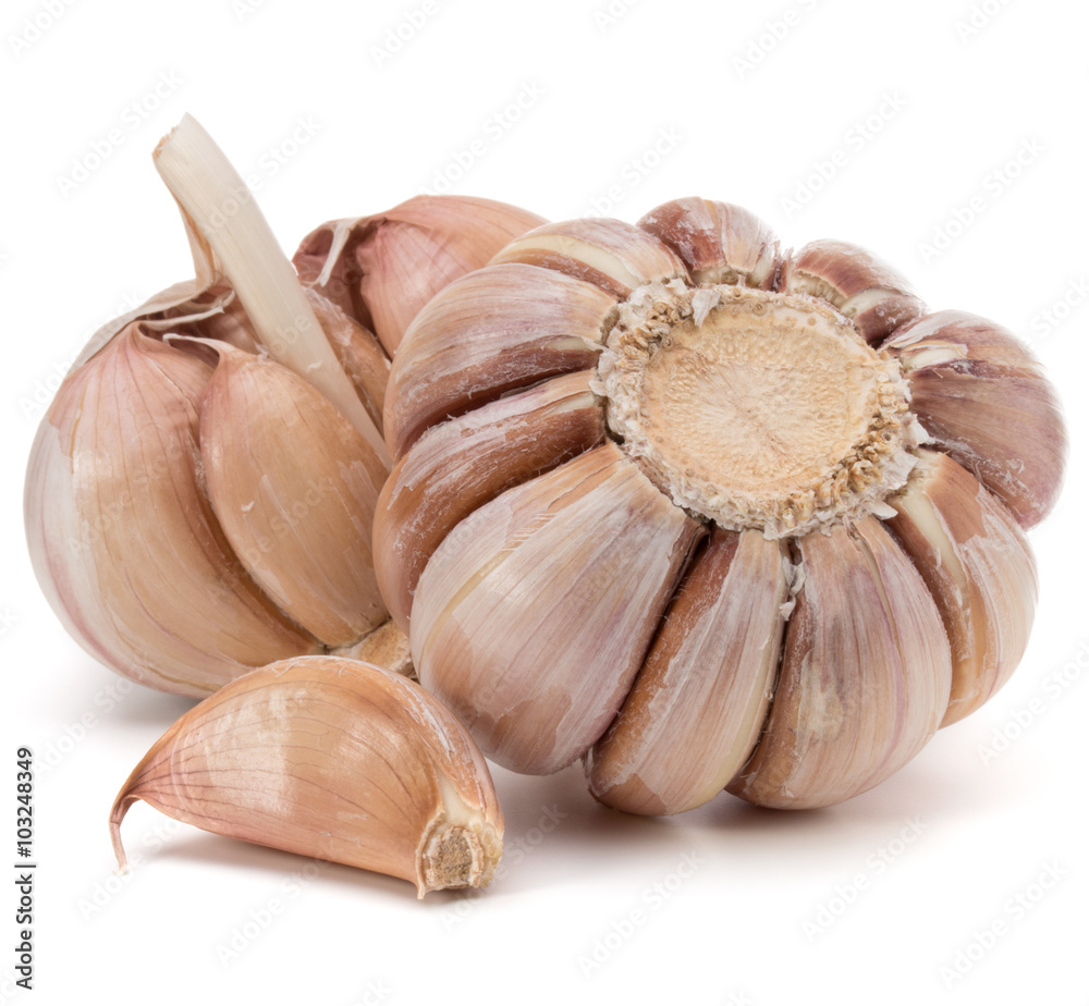 Wall mural garlic bulb isolated on white background cutout