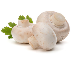 Champignon and parsley herb still life isolated on white backgro