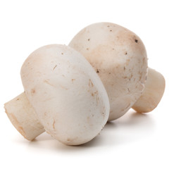 Champignon isolated on white background cutout
