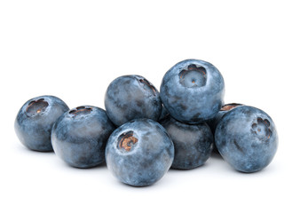 blueberry or bilberry or blackberry or blue whortleberry or huck