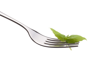 Fresh basil leaf  on fork isolated on white background cutout. H