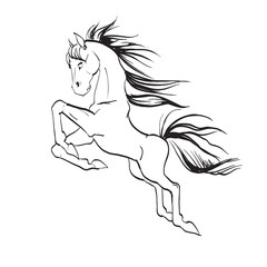 the horse reared, drawing, vector drawings izoliorovanny symbol, logo icon